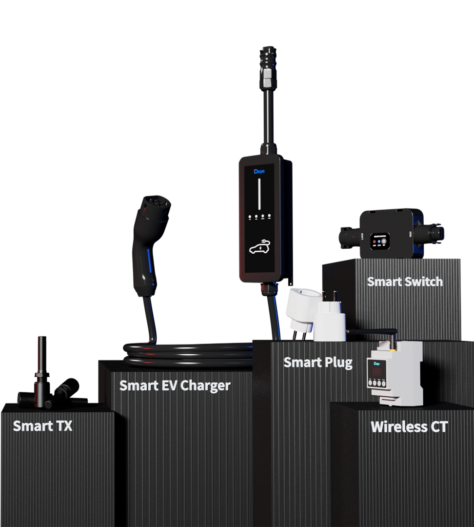 Deyeb DEYEB AX-EMS accessories & monitoring